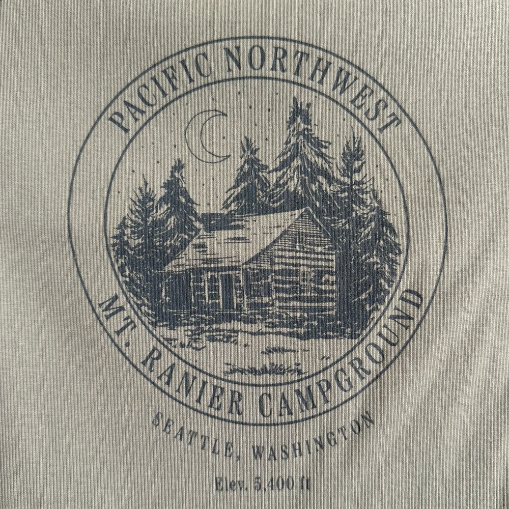 PacSun Raglan Graphic Baby Tee - Picture 3 of 3